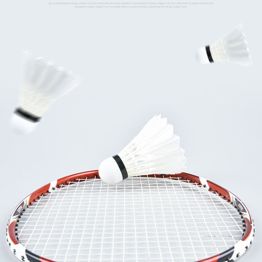 3/6/12 قطعة من كرات الريشة الط - مراجعة Badminton Bwf وسعره